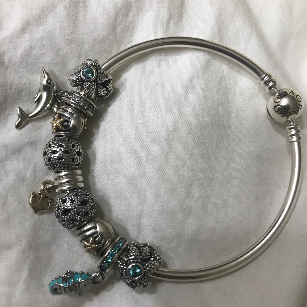 Pandora Charm Bracelet
